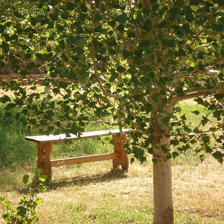 Masia El Carcaba - Moli Del Pont. Cornudella de Montsant Eksteriør billede