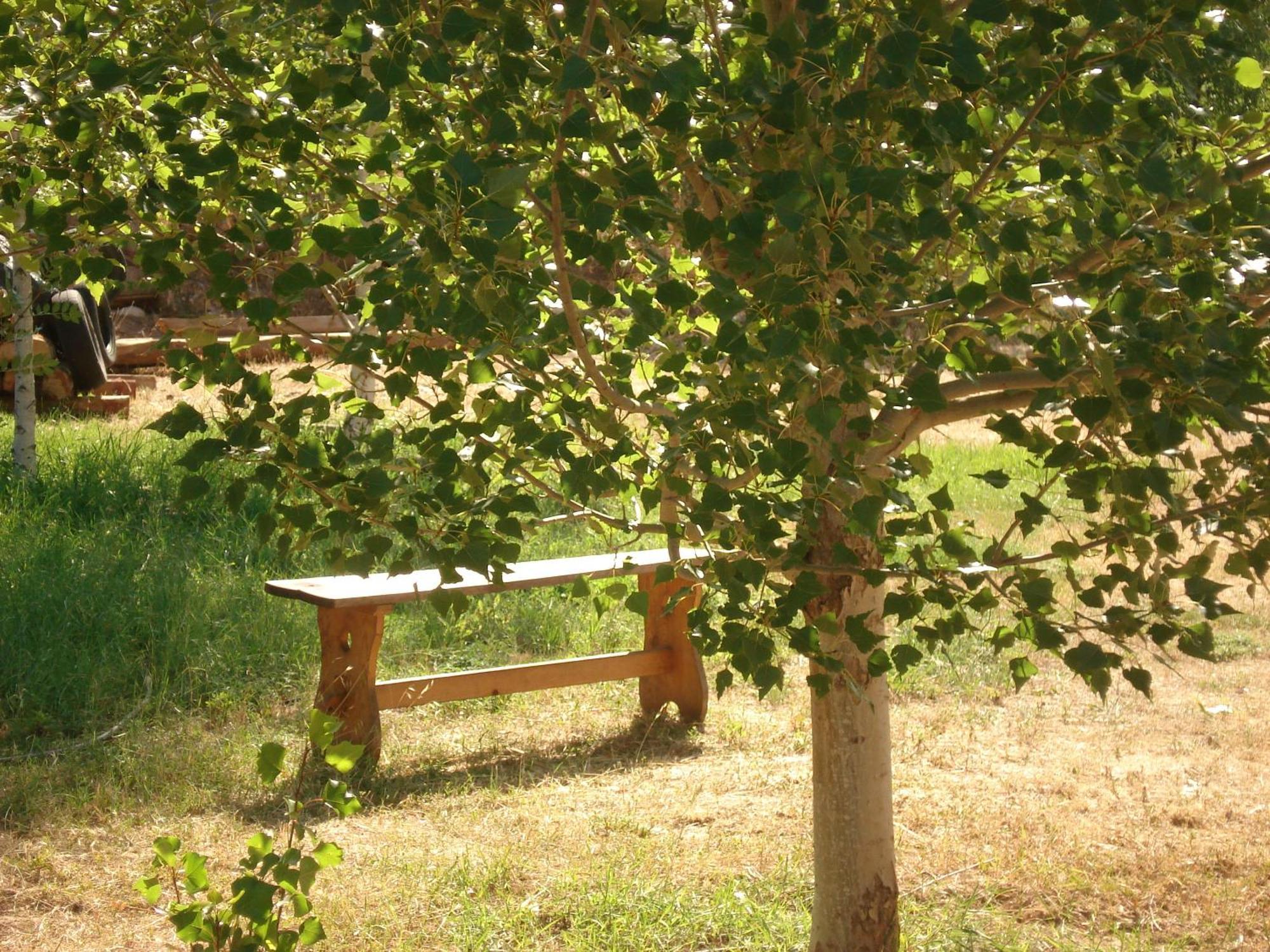 Masia El Carcaba - Moli Del Pont. Cornudella de Montsant Eksteriør billede