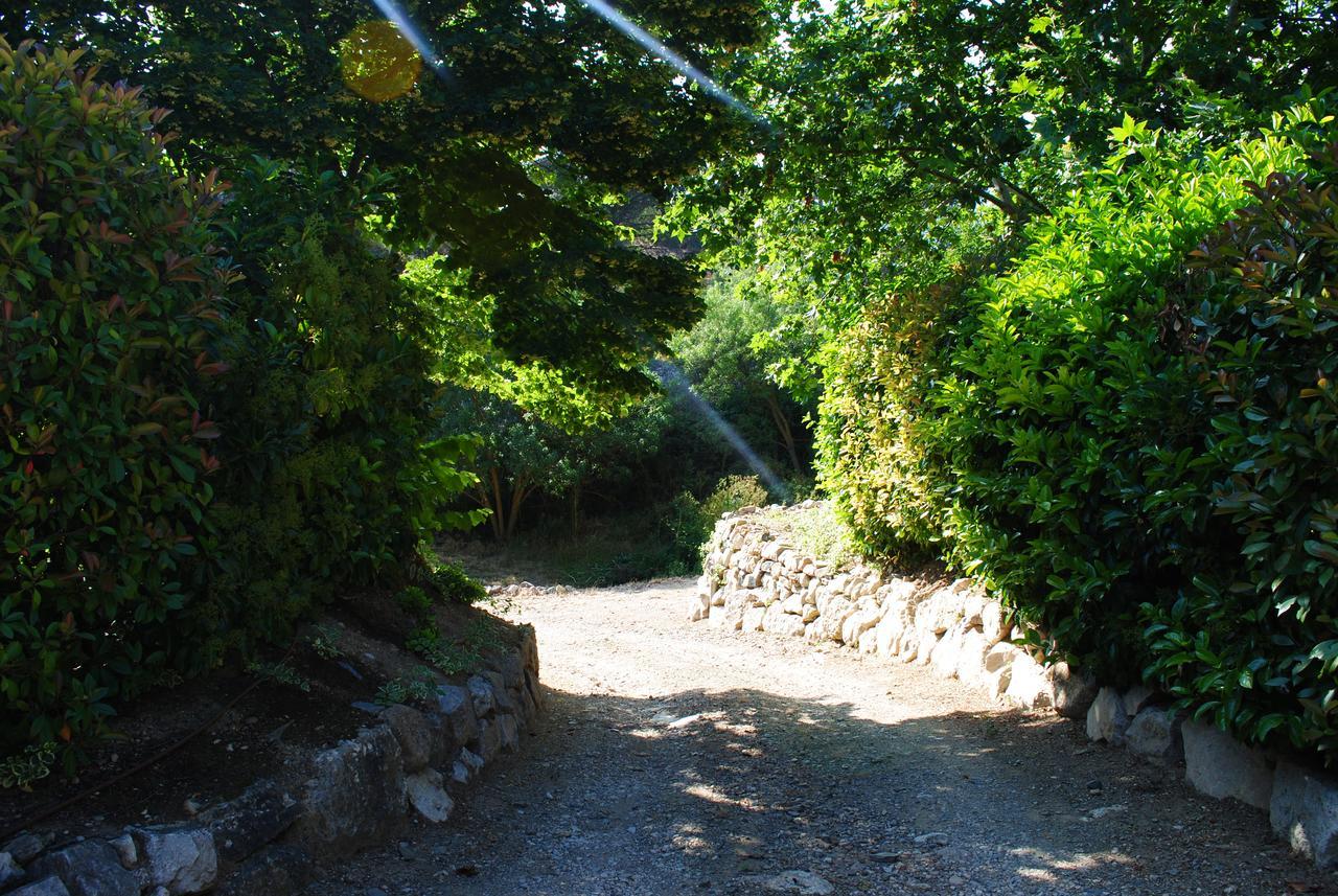 Masia El Carcaba - Moli Del Pont. Cornudella de Montsant Eksteriør billede